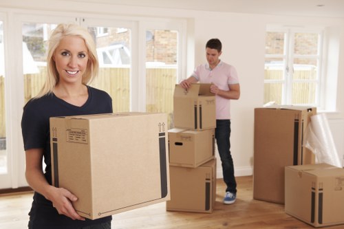 Boxes and furniture prepared for transparent storage pricing quote