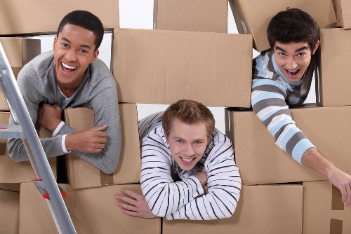 Secure document storage facility in Tottenhamgreen with organized archive boxes